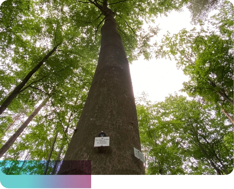 Titelbild unserer Kategorie Abschied.